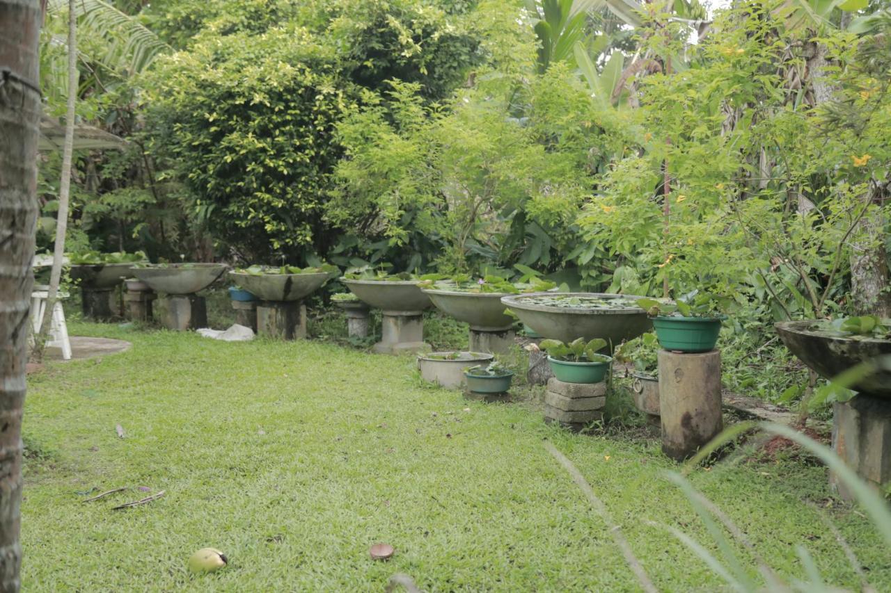 Kirala Villa Mihiripenne Buitenkant foto